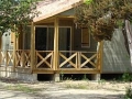 053 - Bagheera / Korsika